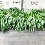 1階なのでテラス部分があります！