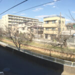 春になると桜が咲きます