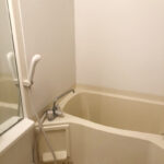 広いお風呂、鏡も付いています (風呂)